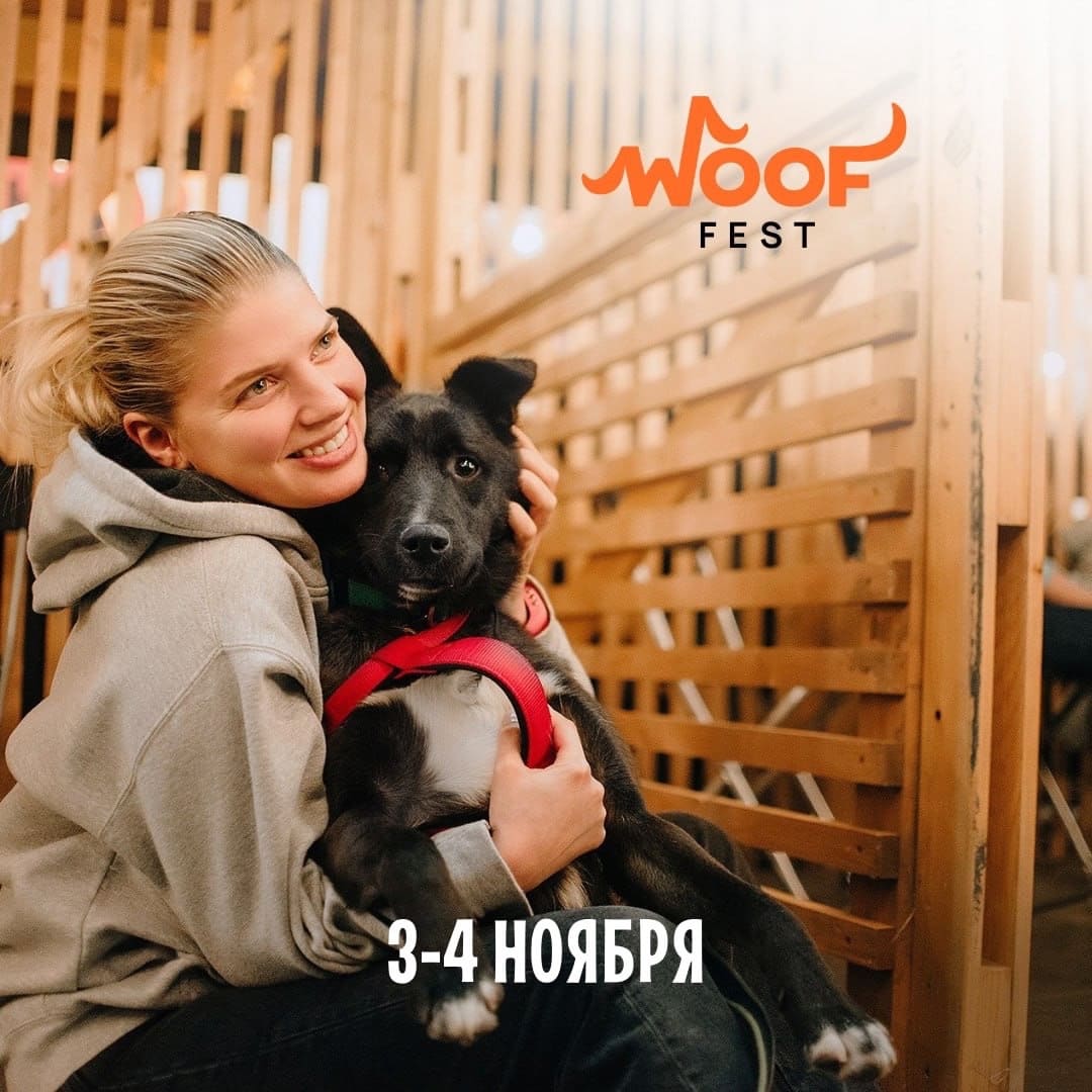 До #WOOFFEST остаются считанные дни!